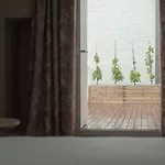 Xo